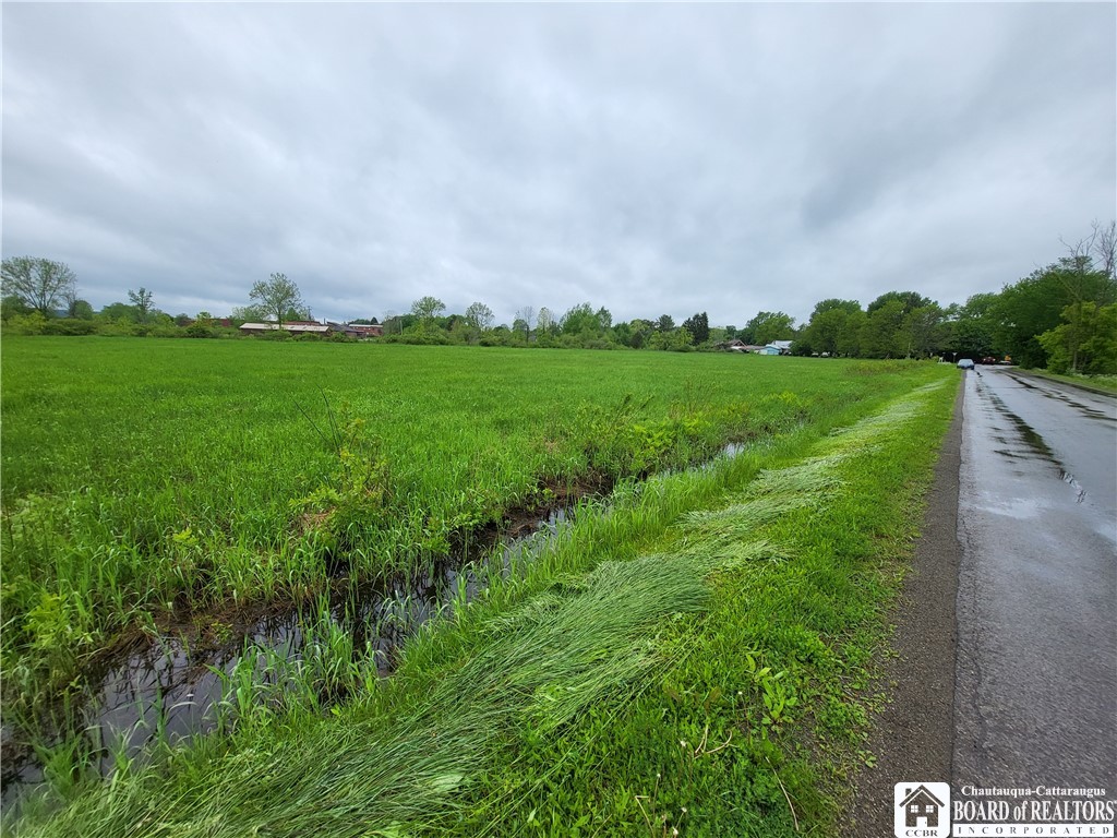 Dredge Road South Dayton, NY 14138 - Photo 5 of 9