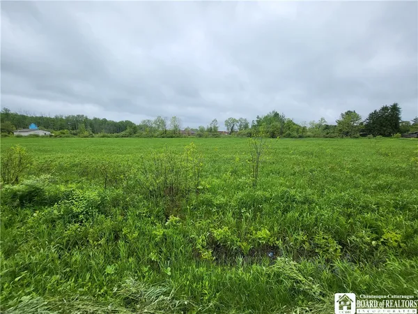 $23,500 | Dredge Road, South Dayton, NY 14138