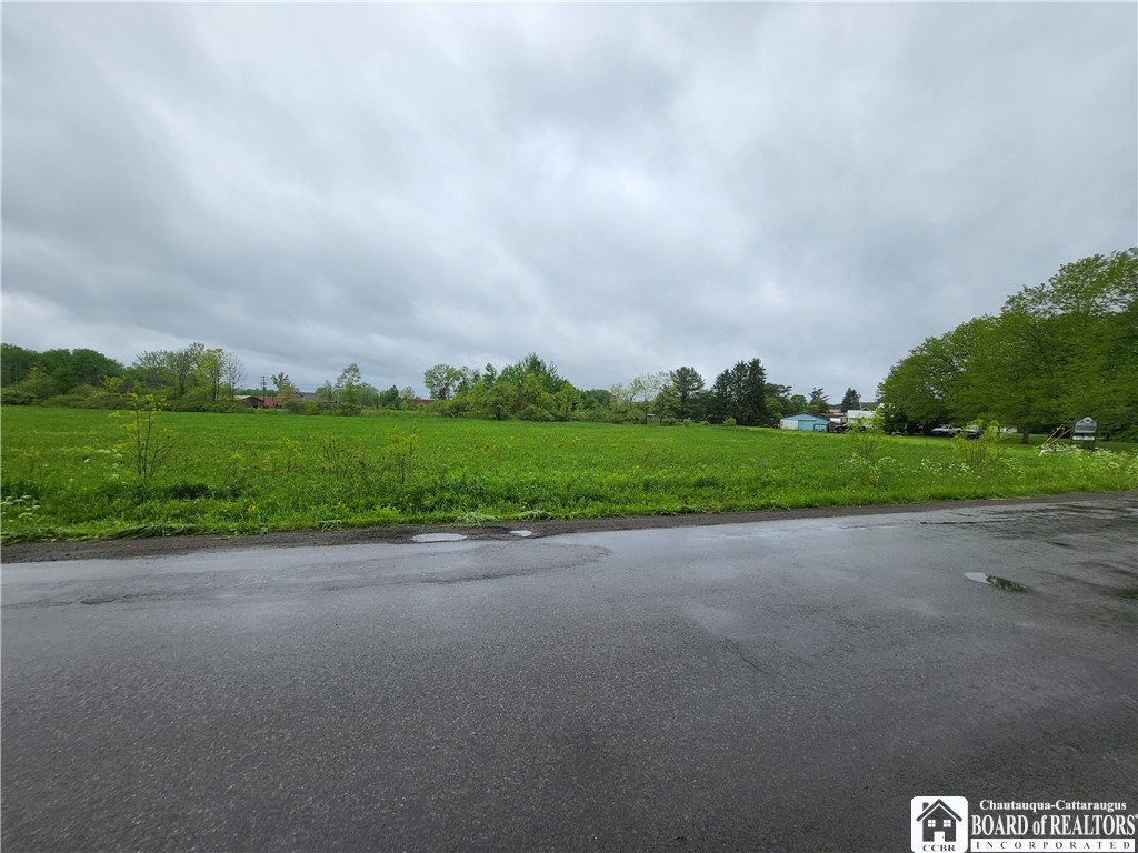 Dredge Road South Dayton, NY 14138 - Photo 8 of 9