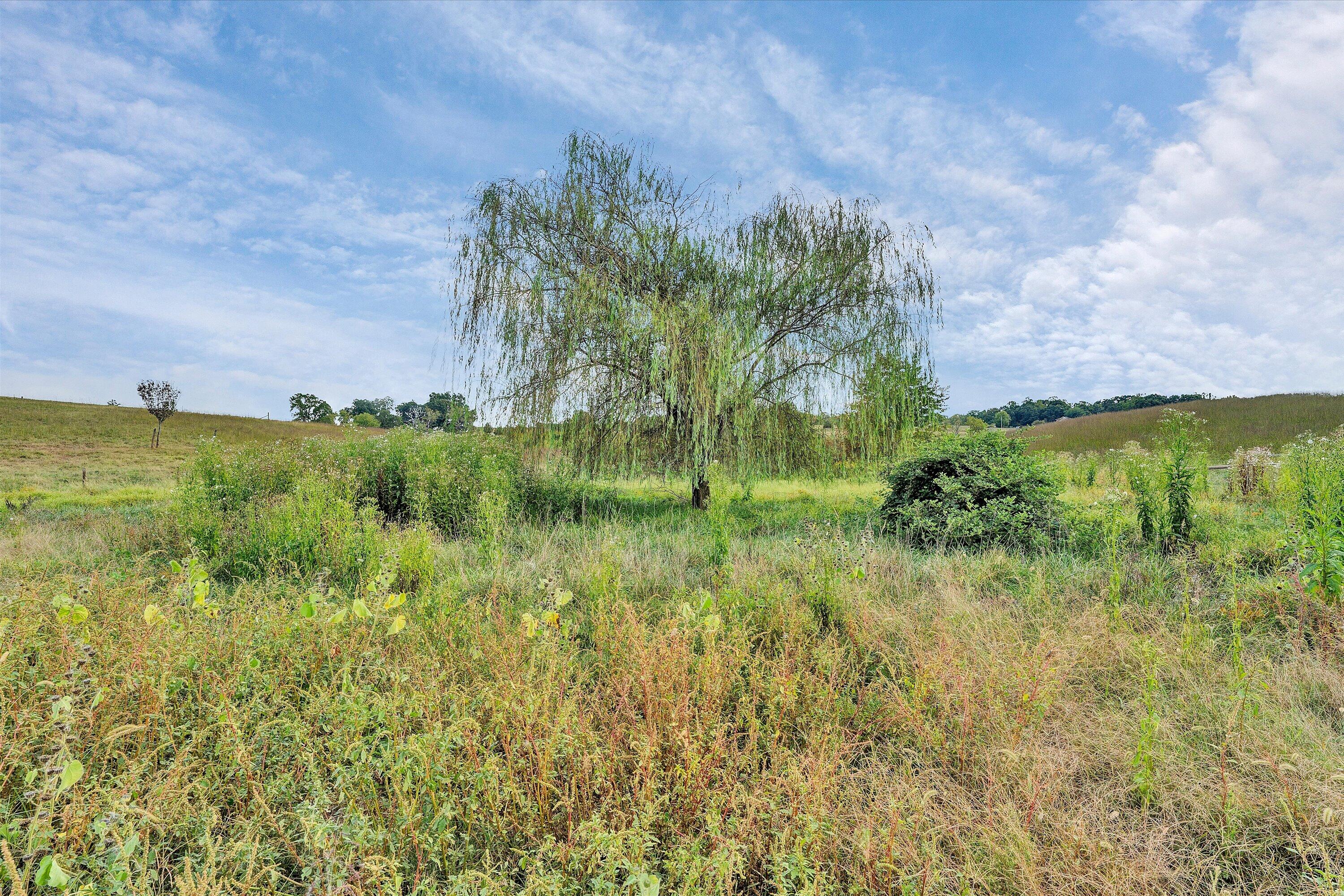 6200 Stewartsville Road Moneta, VA 24121 - Photo 52 of 71 51-DSC04242