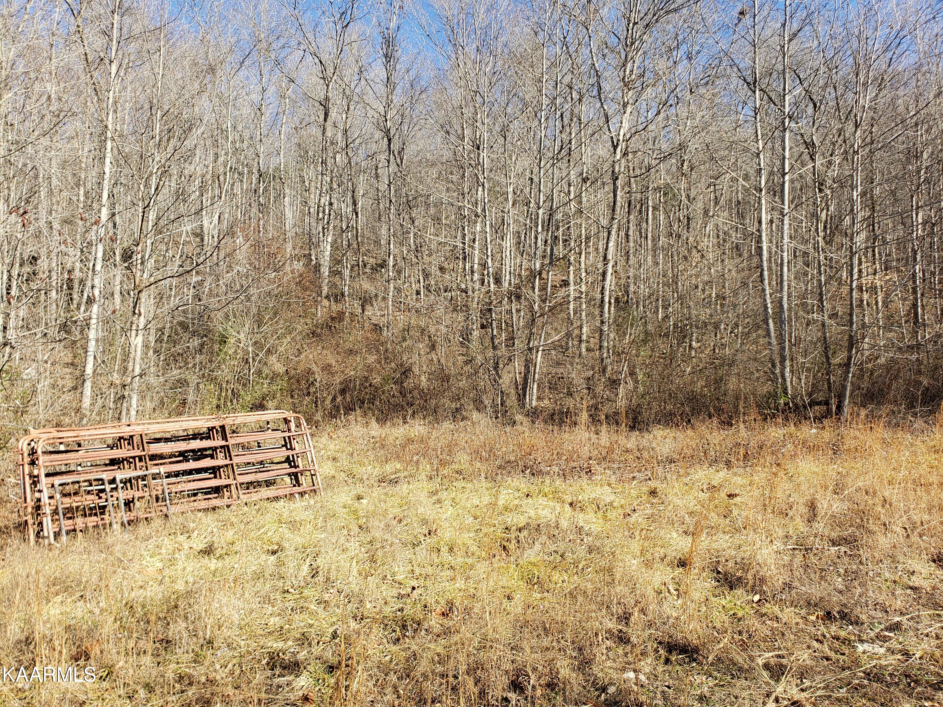 Delk Creek Rd Road Pall Mall, TN 38577 - Photo 8 of 12 20230104_120938