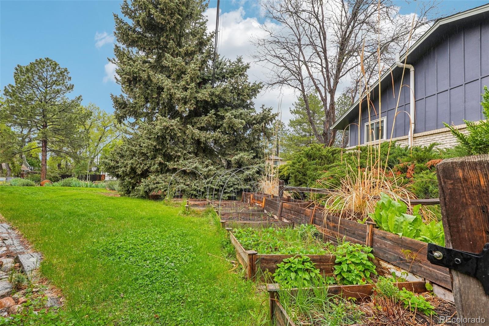 1118 Eagle Road Broomfield, CO 80020 - Photo 43 of 50 a view of yard with green space