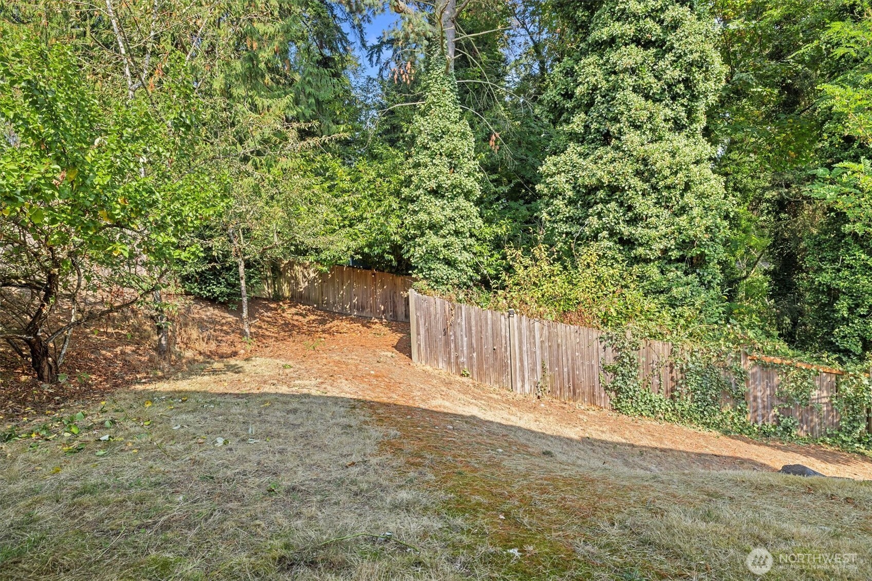 2320 Northeast 102nd Street Seattle, WA 98125 - Photo 17 of 19 a view of a yard with plants and wooden fence