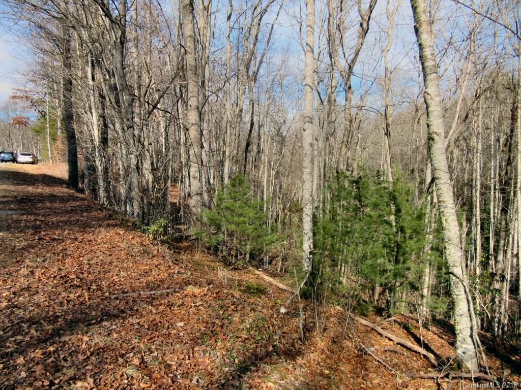 Xx See Off Mountain Road Brevard, NC 28712 - Photo 3 of 6 Gallery Image 3