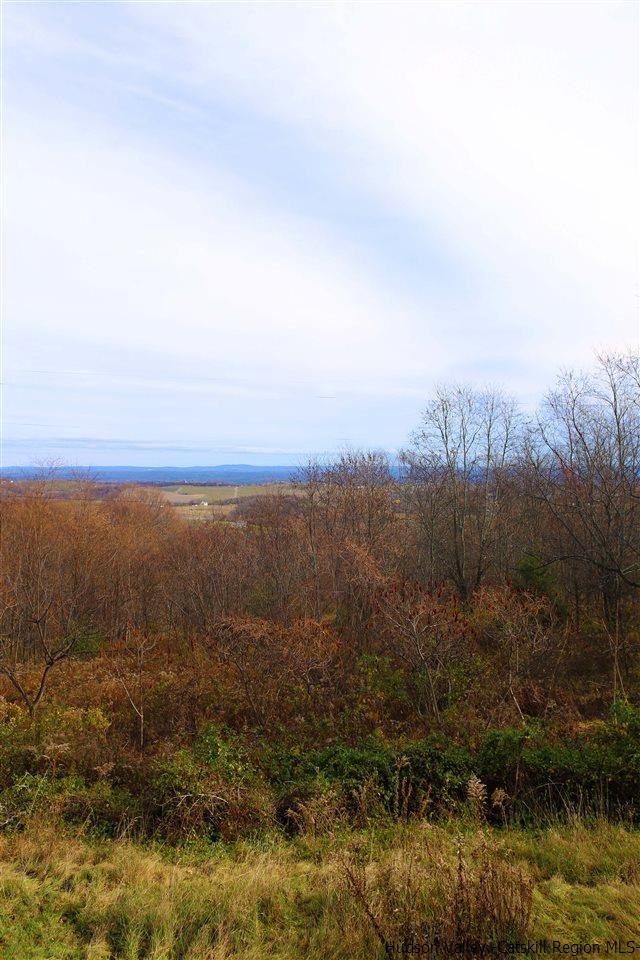 Tbd Mt Zion Road Marlboro, NY 12542 - Photo 11 of 20