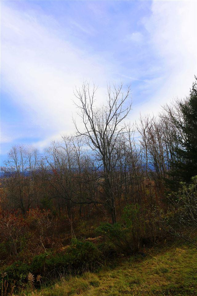 Tbd Mt Zion Road Marlboro, NY 12542 - Photo 14 of 20 a view of outdoor space and mountain view