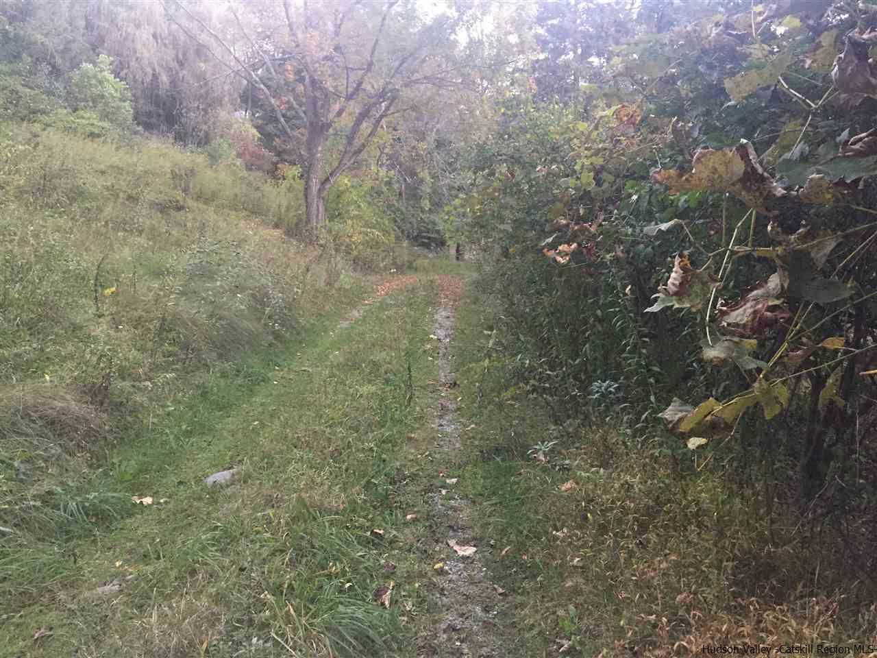 Tbd Mt Zion Road Marlboro, NY 12542 - Photo 18 of 20 a view of a yard