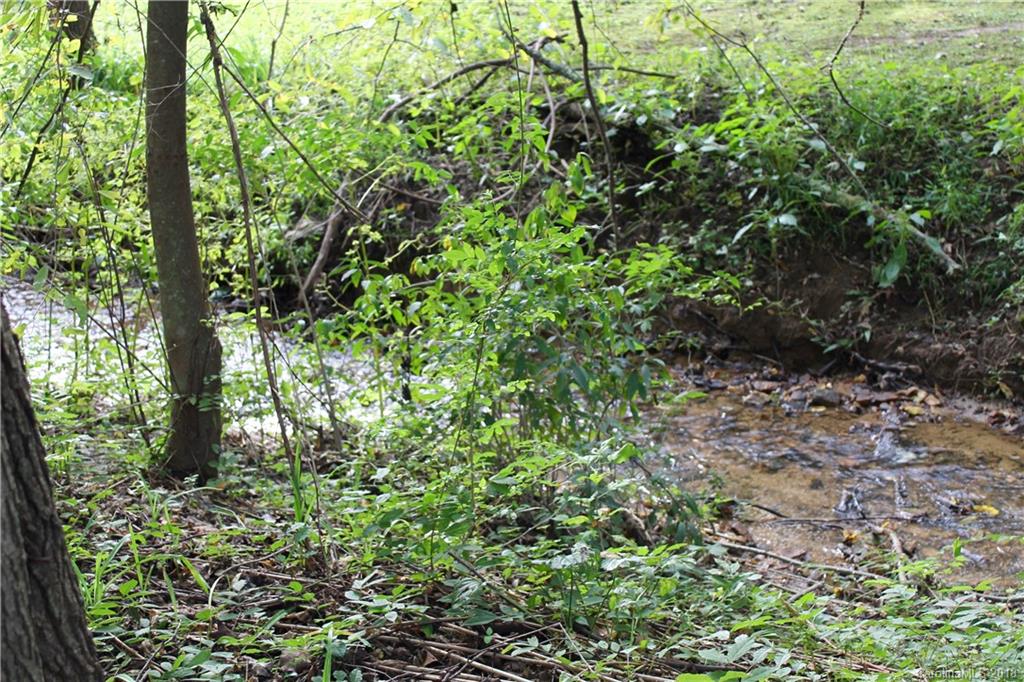 918 Cashiers Valley Road Brevard, NC 28712 - Photo 22 of 35 Gallery Image 22