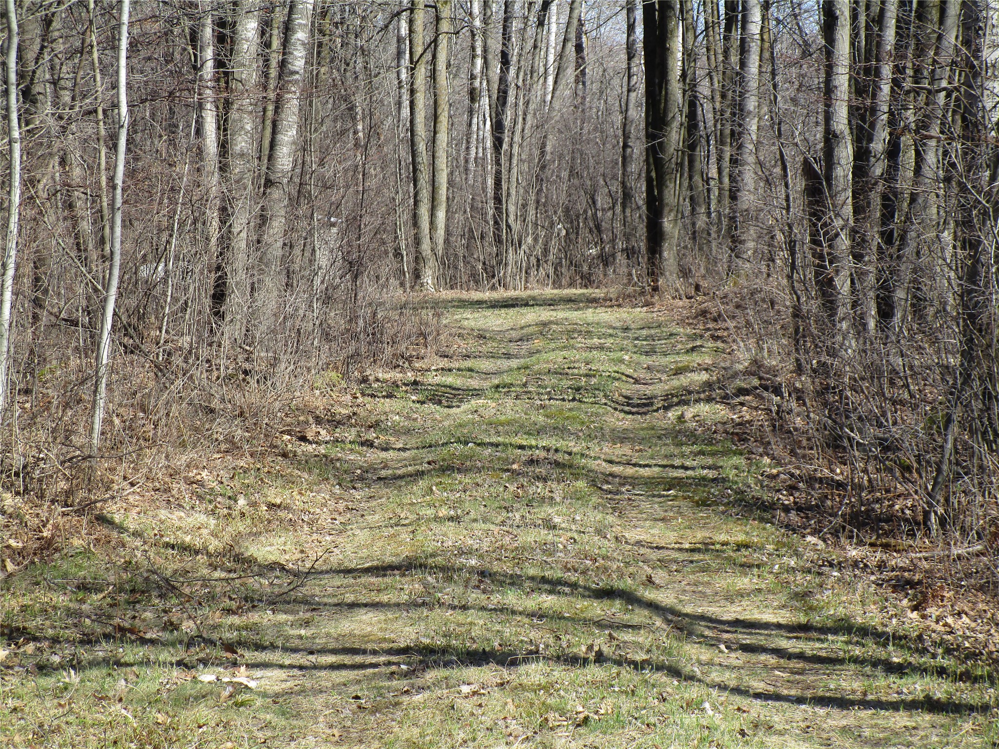 N7110 Hackett Road Hawkins, WI 54530 - Photo 8 of 10