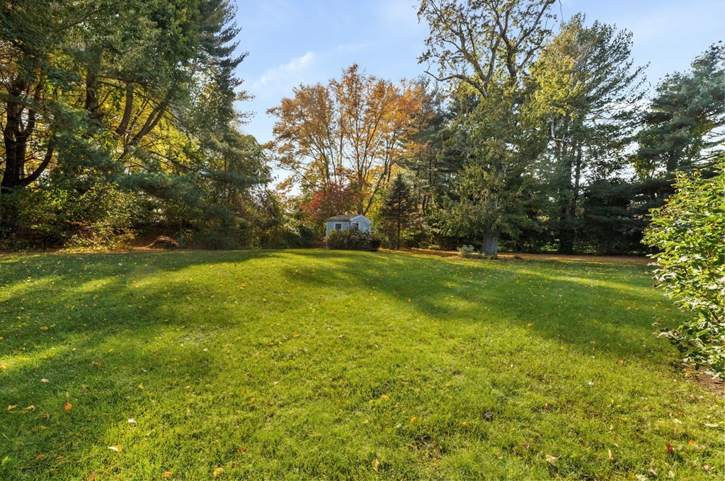 10 Pine Grove Road Hingham, MA 02043 - Photo 23 of 27 a view of field with tall trees
