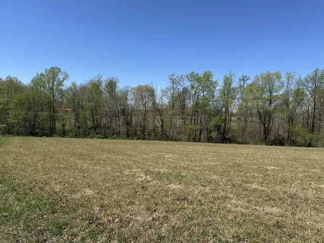 a view of a field with trees in the background