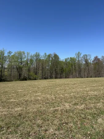 a view of a field with trees in the background