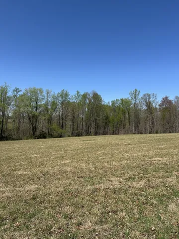 a view of a field with trees in the background