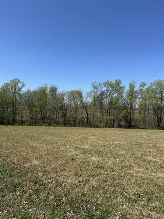 a view of an outdoor space and a yard