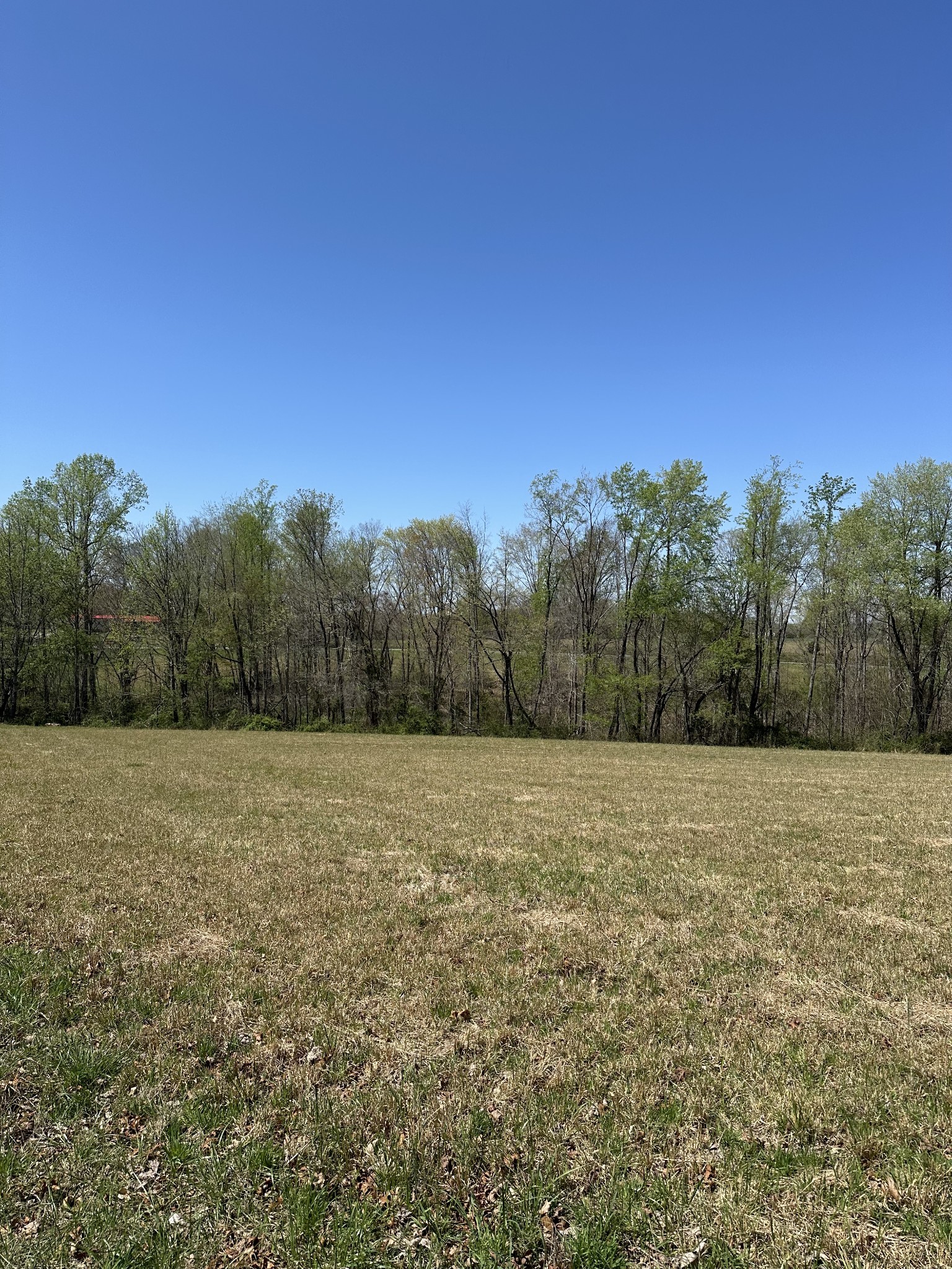 850 Beech Grove Road Lafayette, TN 37083 - Photo 14 of 25 a view of an outdoor space and a yard