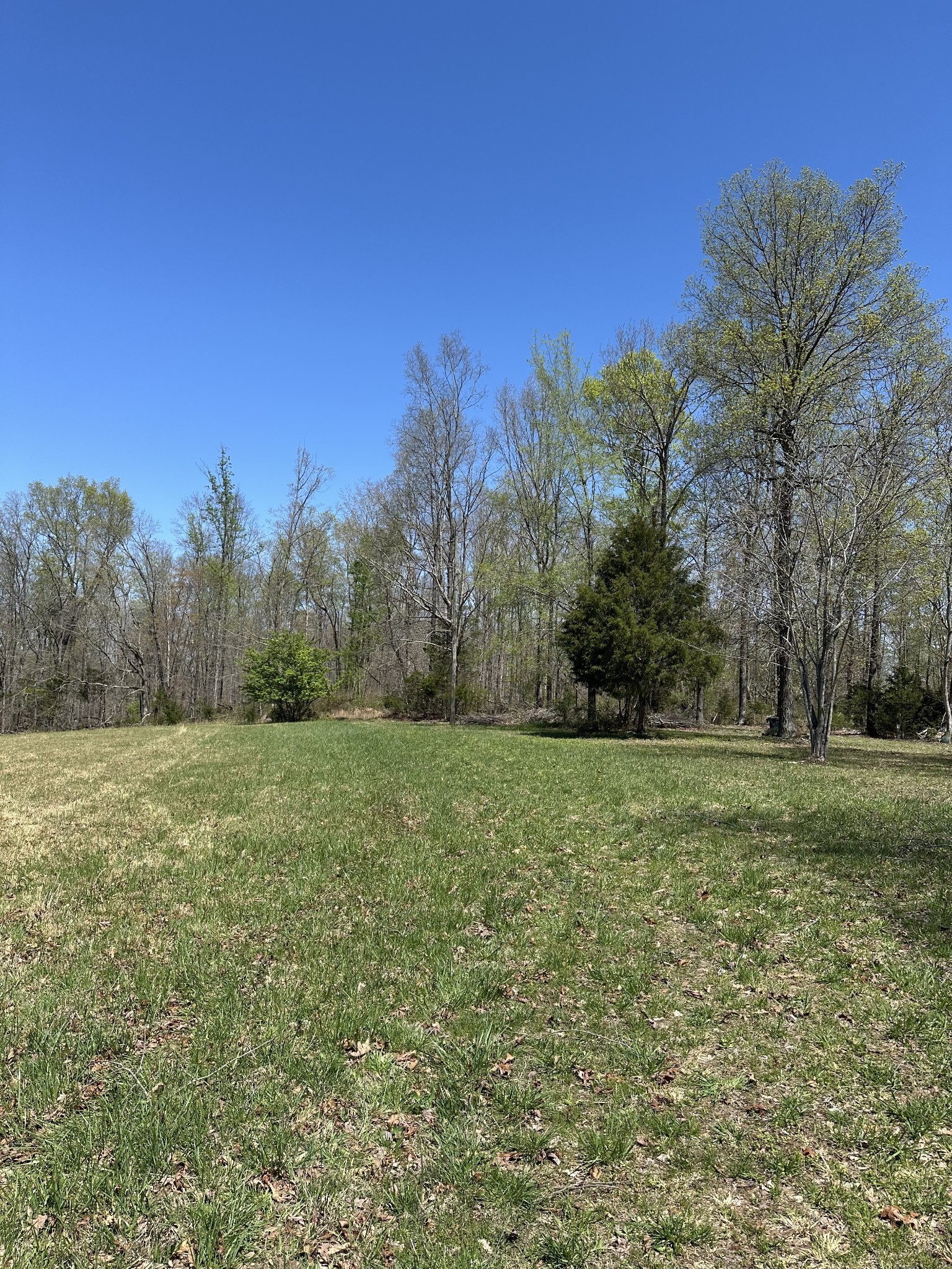 850 Beech Grove Road Lafayette, TN 37083 - Photo 15 of 25 a view of outdoor space and yard