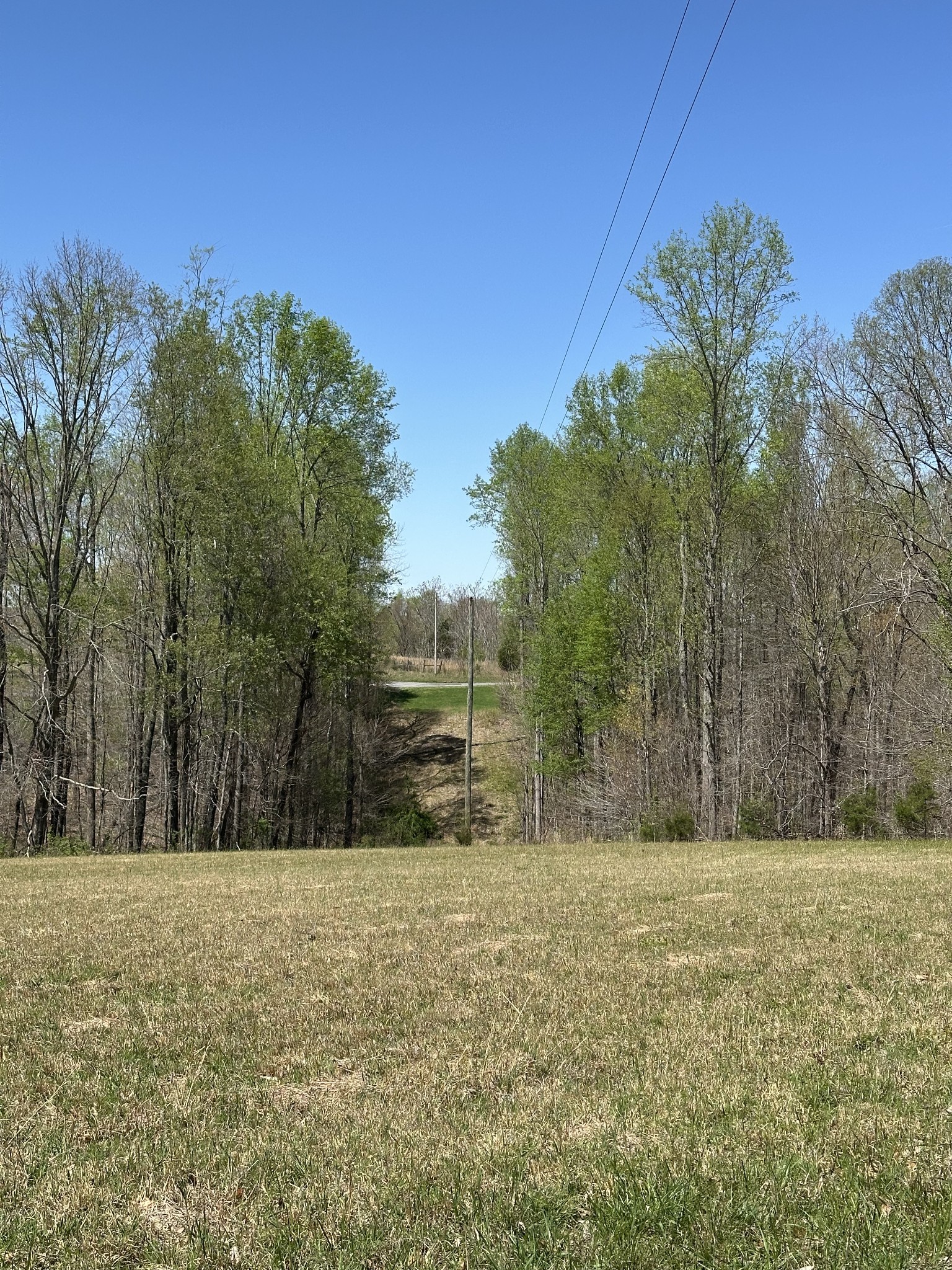850 Beech Grove Road Lafayette, TN 37083 - Photo 18 of 25 a view of a outdoor space
