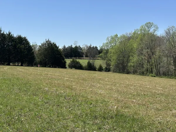 a view of a outdoor space with swimming pool and trees in the background