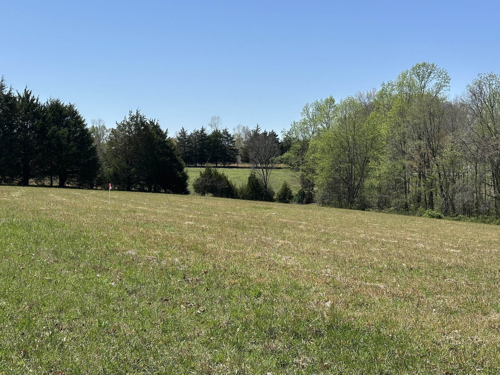 850 Beech Grove Road Lafayette, TN 37083 - Photo 19 of 25 a view of a outdoor space with swimming pool and trees in the background