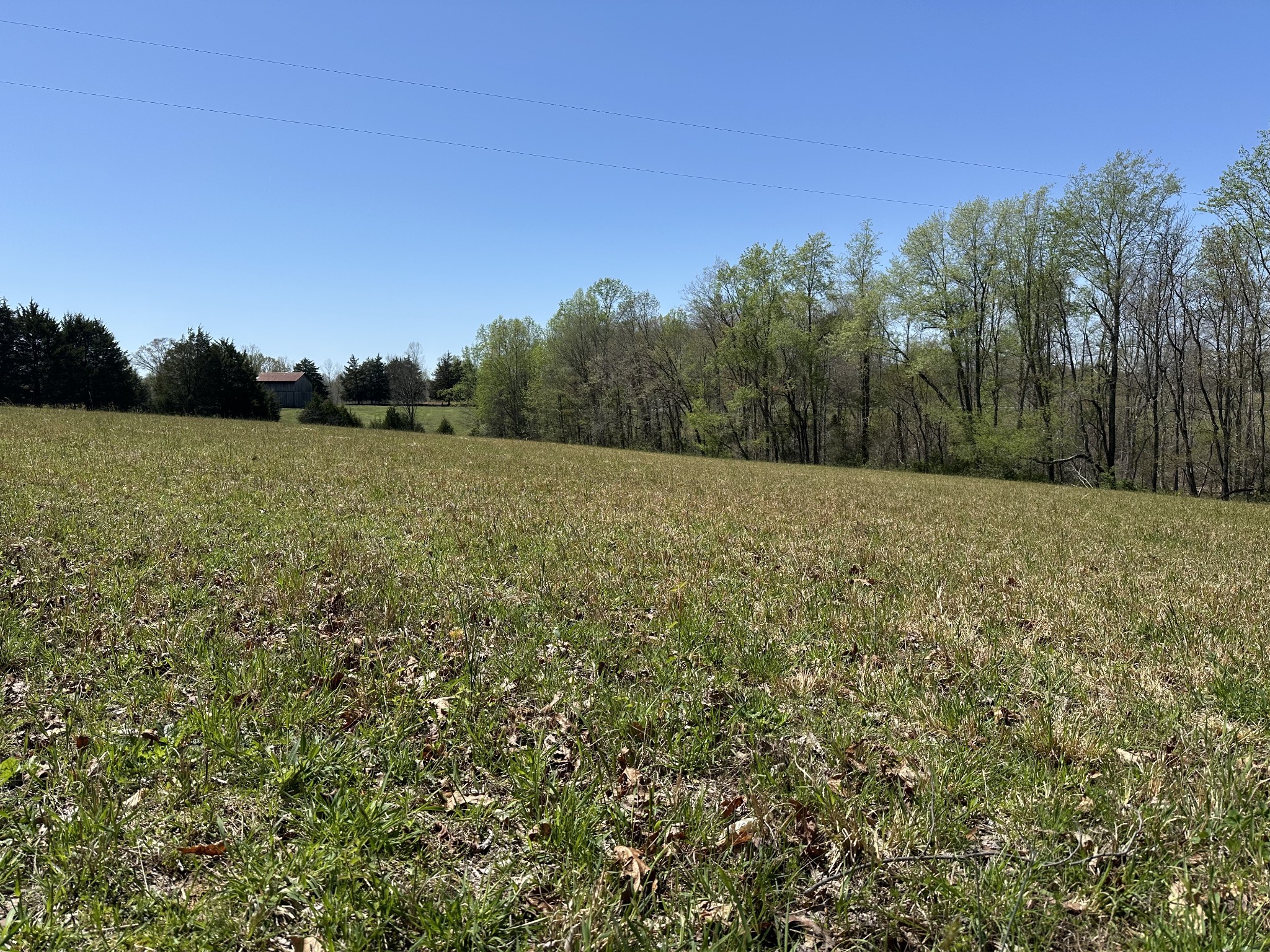 850 Beech Grove Road Lafayette, TN 37083 - Photo 20 of 25 a view of an outdoor space and a yard