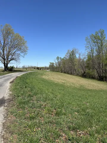 a view of a field with an trees
