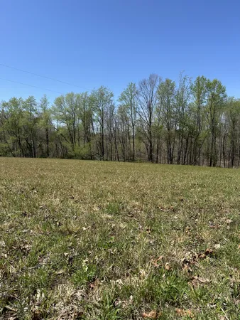 a view of a field with trees in the background