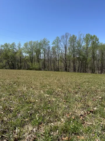 a view of a field with trees in the background