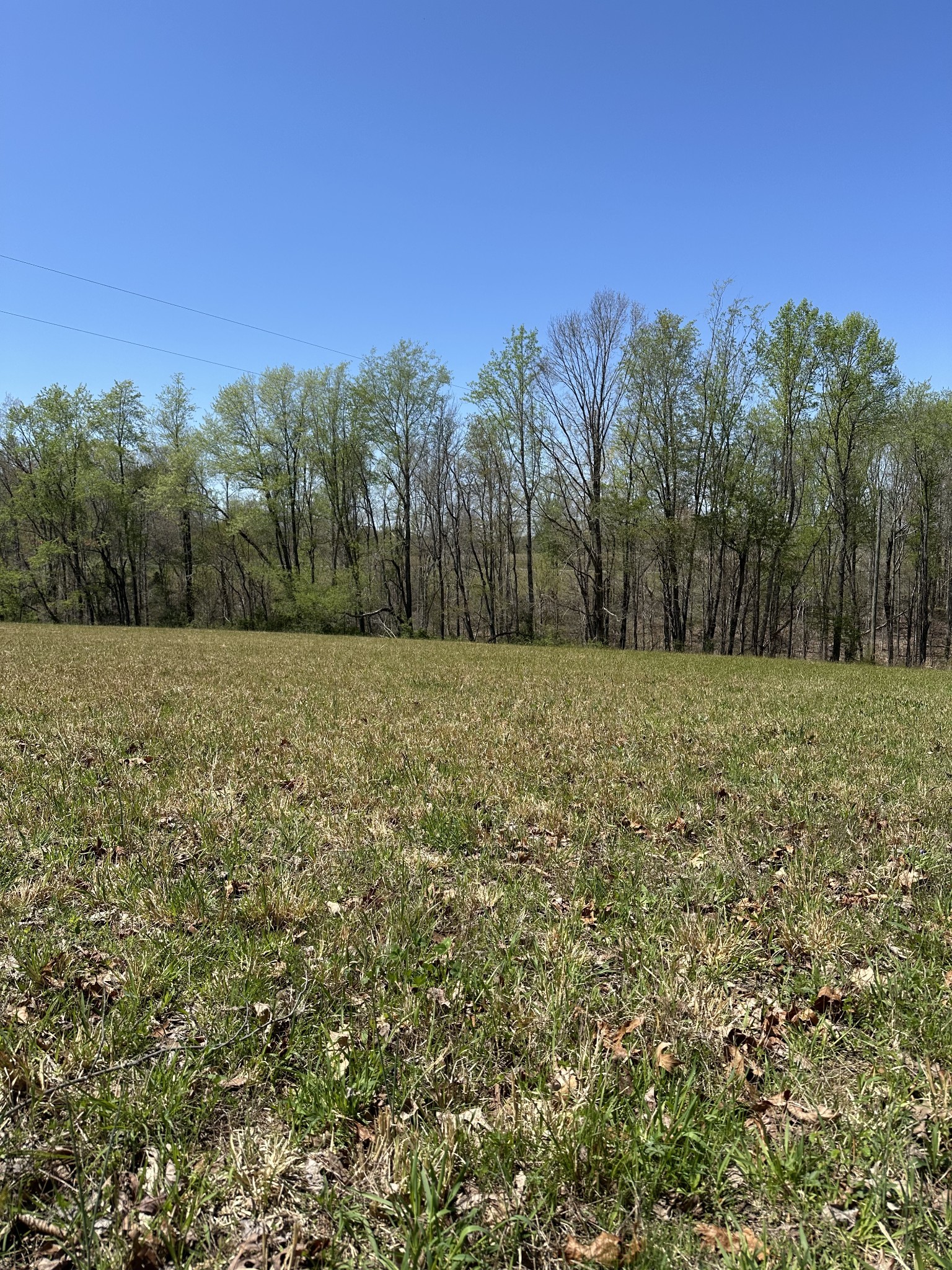850 Beech Grove Road Lafayette, TN 37083 - Photo 21 of 25 a view of a field with trees in the background