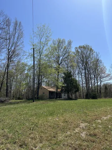 a view of a backyard with large trees