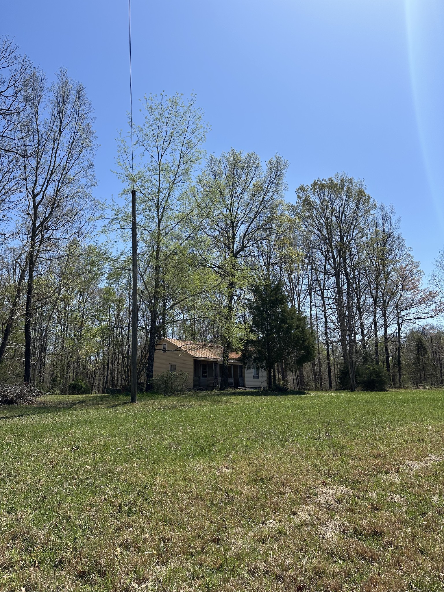 850 Beech Grove Road Lafayette, TN 37083 - Photo 22 of 25 a view of a backyard with large trees