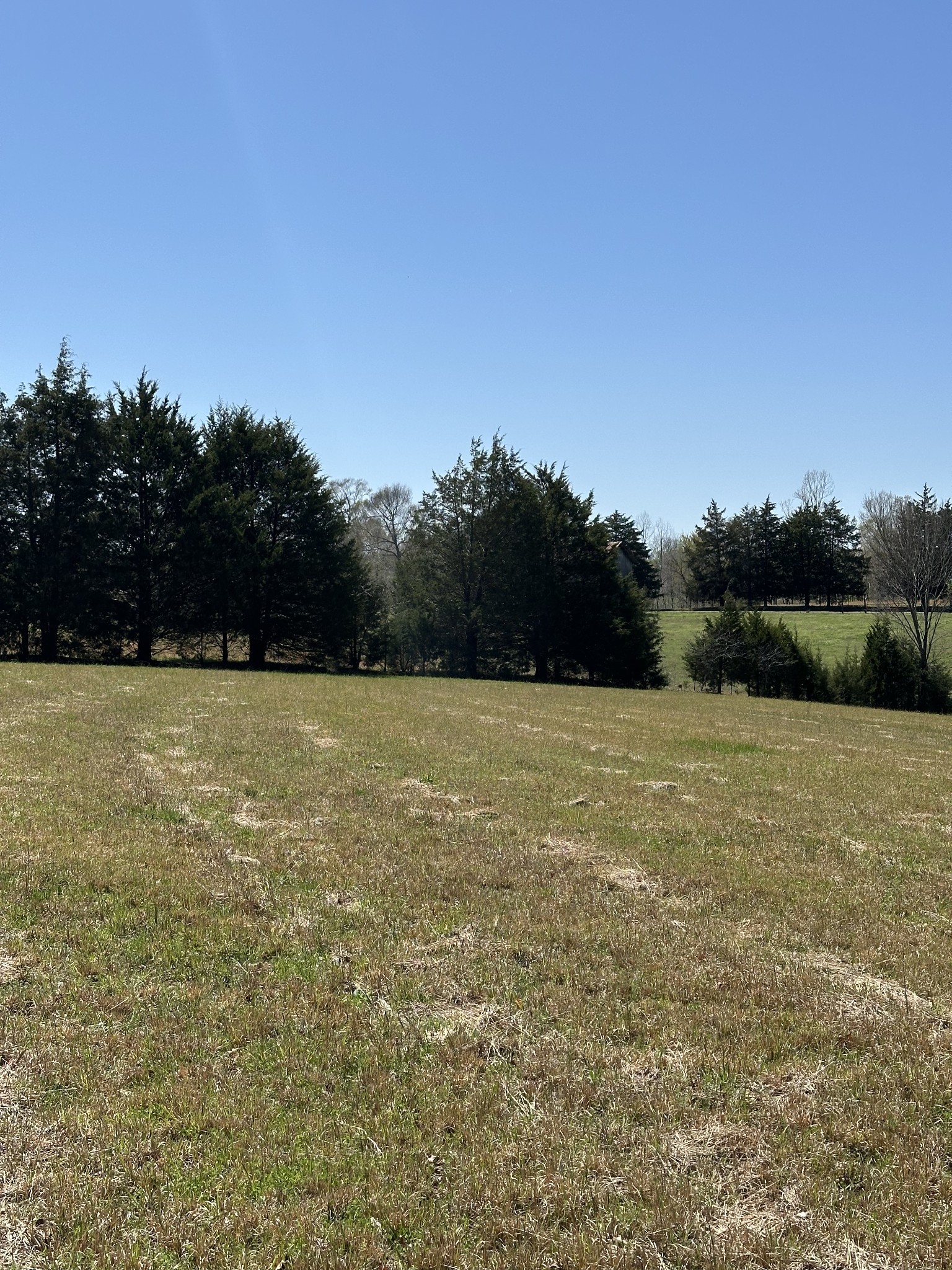 850 Beech Grove Road Lafayette, TN 37083 - Photo 23 of 25 a view of a field with trees in background