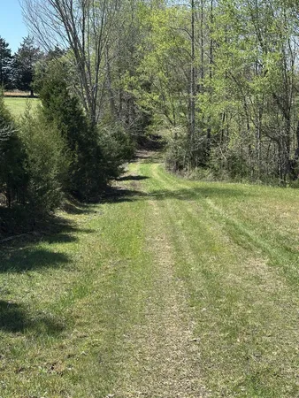 a view of a field with an trees