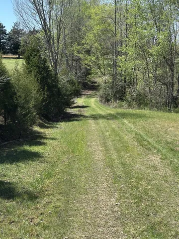 a view of a field with an trees