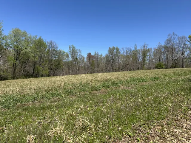 a view of a field with trees in the background
