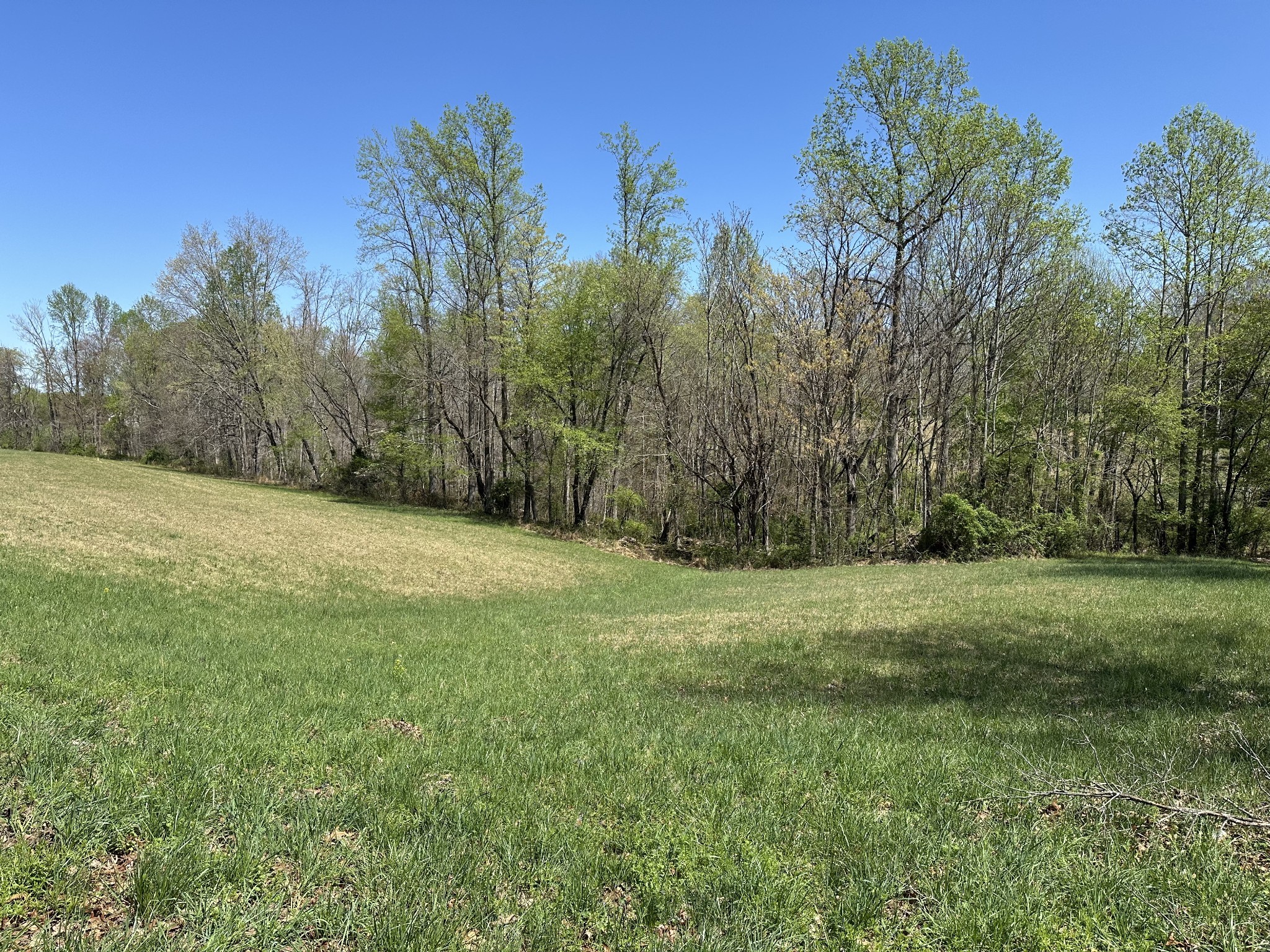 850 Beech Grove Road Lafayette, TN 37083 - Photo 3 of 25 a view of a field with trees in the background