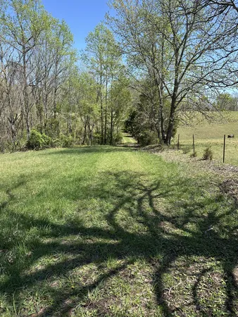 a view of outdoor space and yard