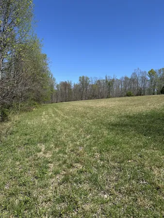 a view of an outdoor space and a yard