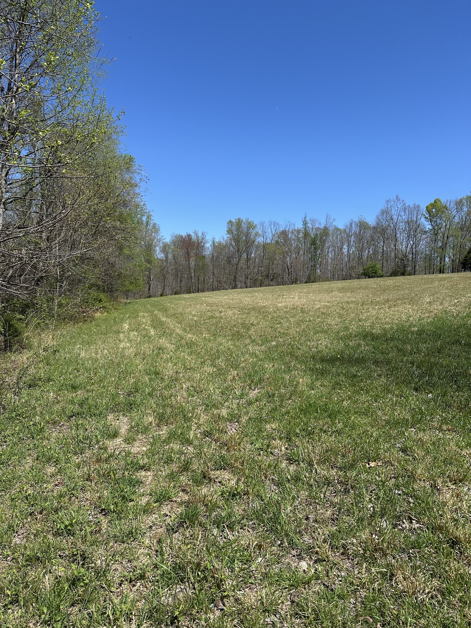 850 Beech Grove Road Lafayette, TN 37083 - Photo 6 of 25 a view of an outdoor space and a yard