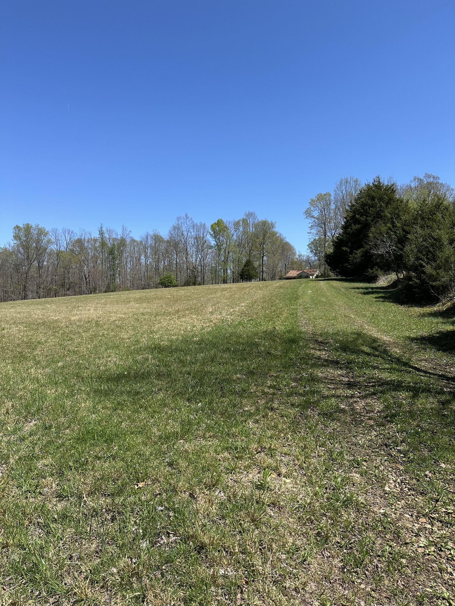 850 Beech Grove Road Lafayette, TN 37083 - Photo 7 of 25 a view of an outdoor space and a yard