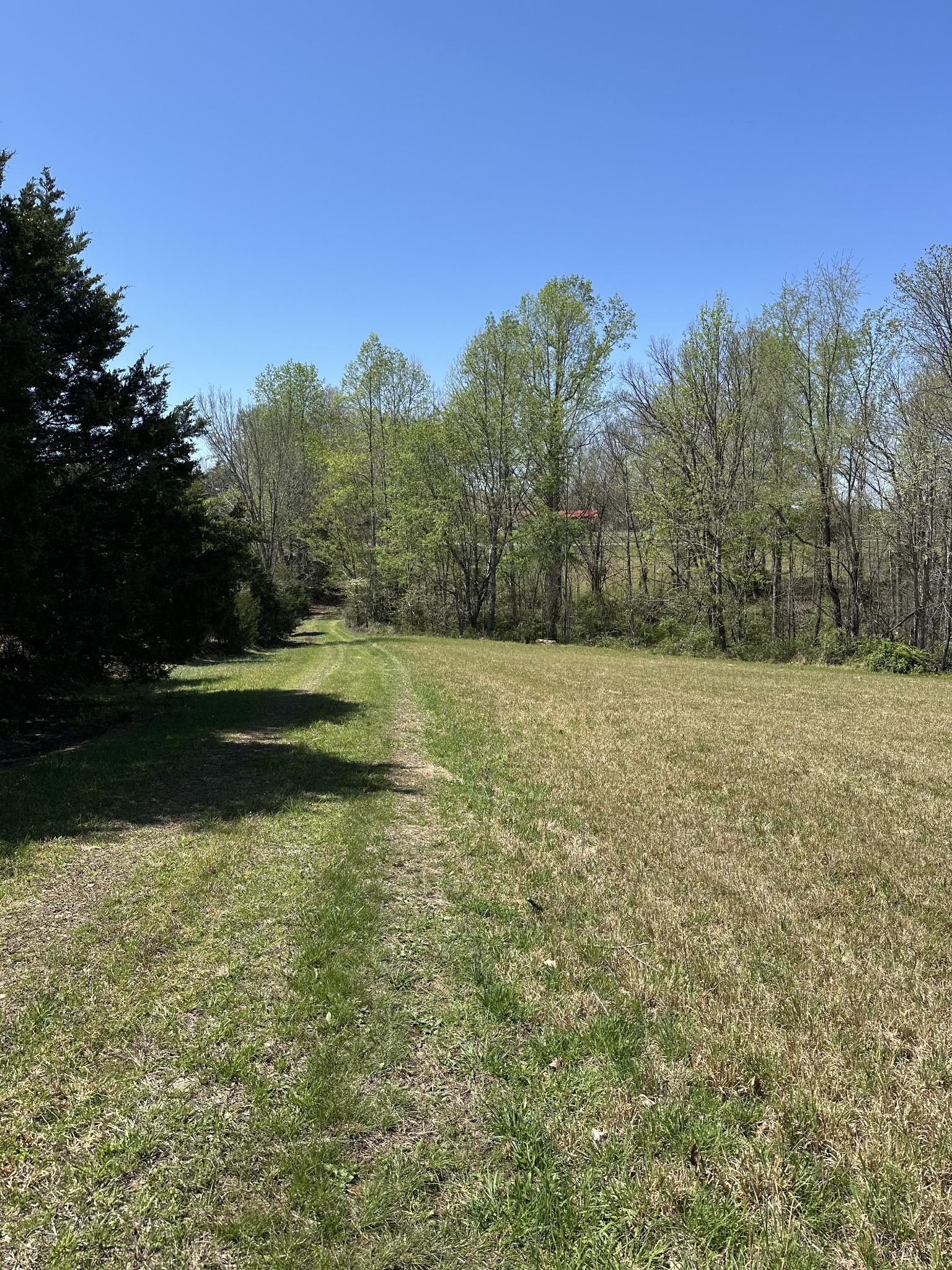 850 Beech Grove Road Lafayette, TN 37083 - Photo 8 of 25 a view of a green field