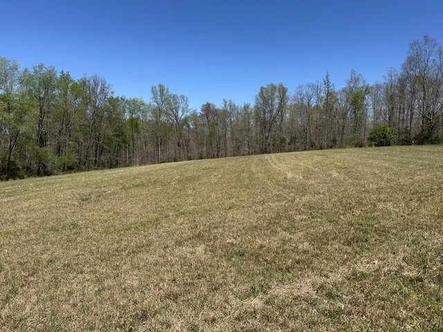 a view of a field with trees in the background