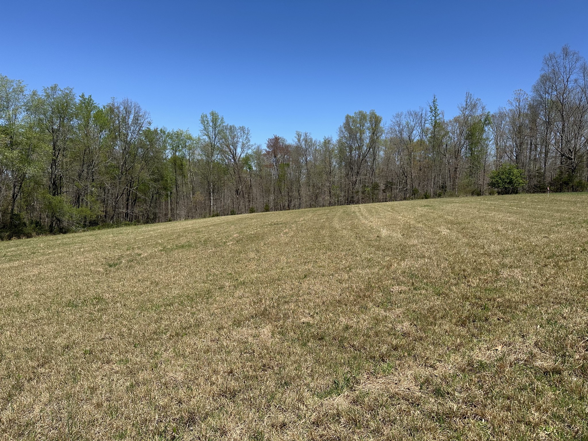 850 Beech Grove Road Lafayette, TN 37083 - Photo 9 of 25 a view of a field with trees in the background