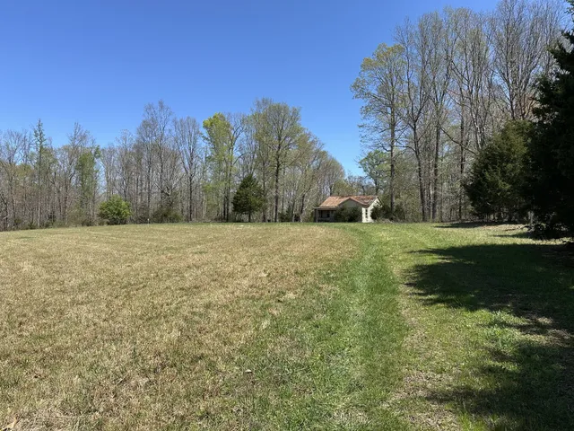 a view of a field with trees in the background