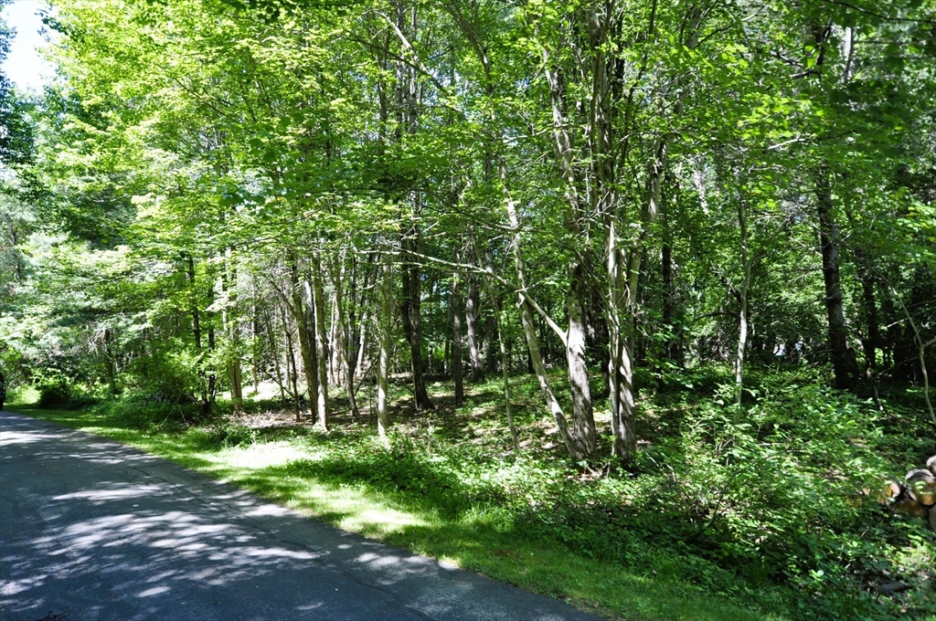 0 River Rd Extension East Bridgewater, MA 02333 - Photo 3 of 11