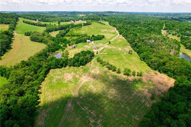 an outdoor space with garden view