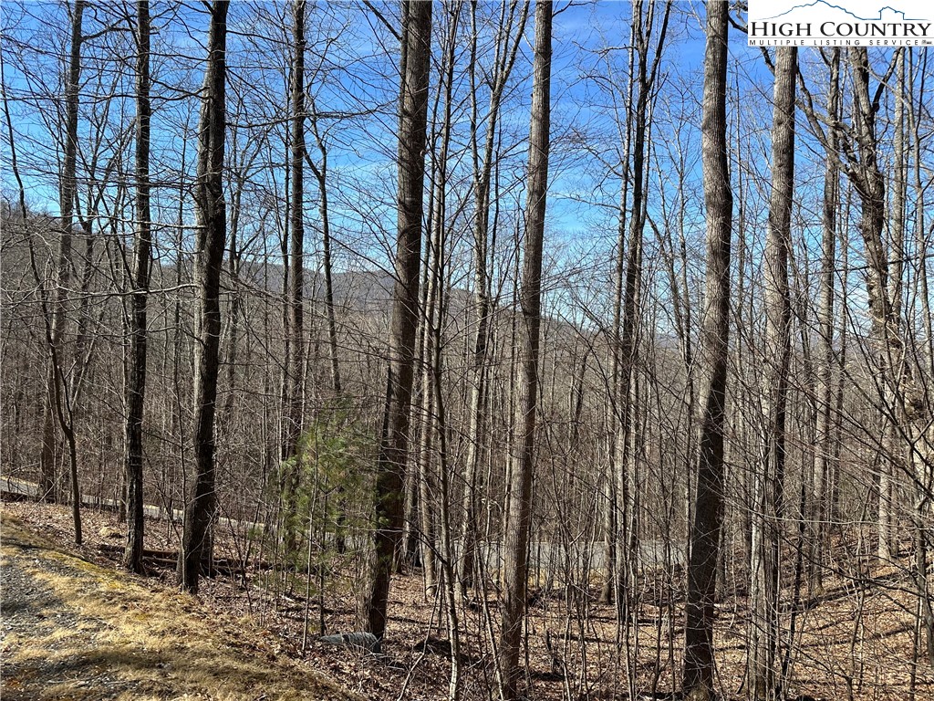 Woodland Ridge Lansing, NC 28643 - Photo 1 of 10 a view of a forest