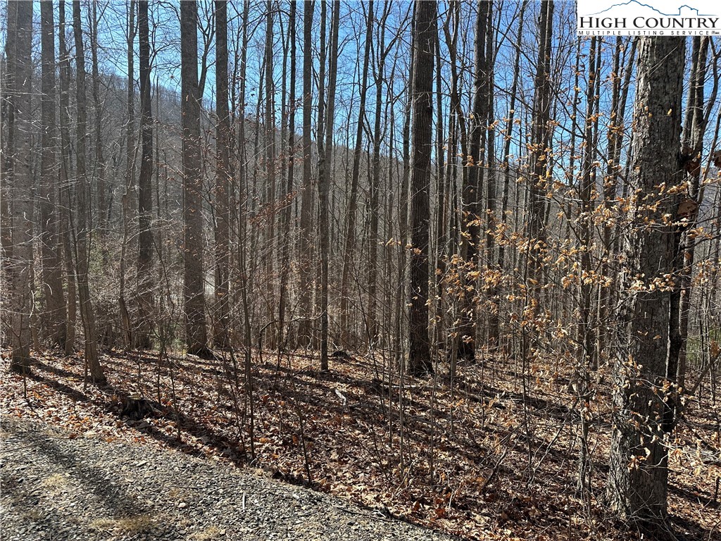 Woodland Ridge Lansing, NC 28643 - Photo 3 of 10 a view of wooden fence