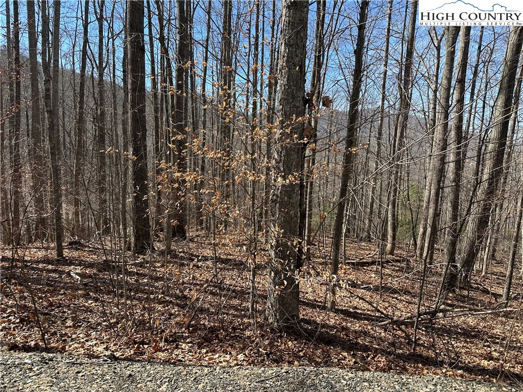 Woodland Ridge Lansing, NC 28643 - Photo 4 of 10 a view of a backyard with large trees
