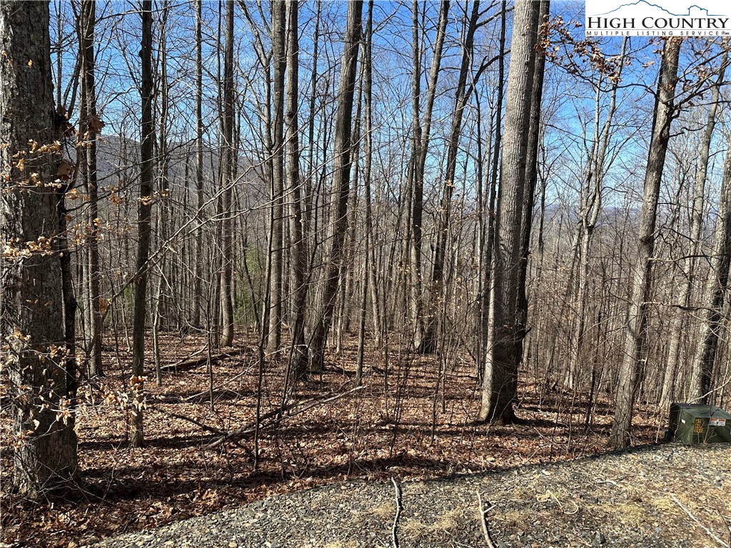 Woodland Ridge Lansing, NC 28643 - Photo 5 of 10 a view of a backyard with large trees