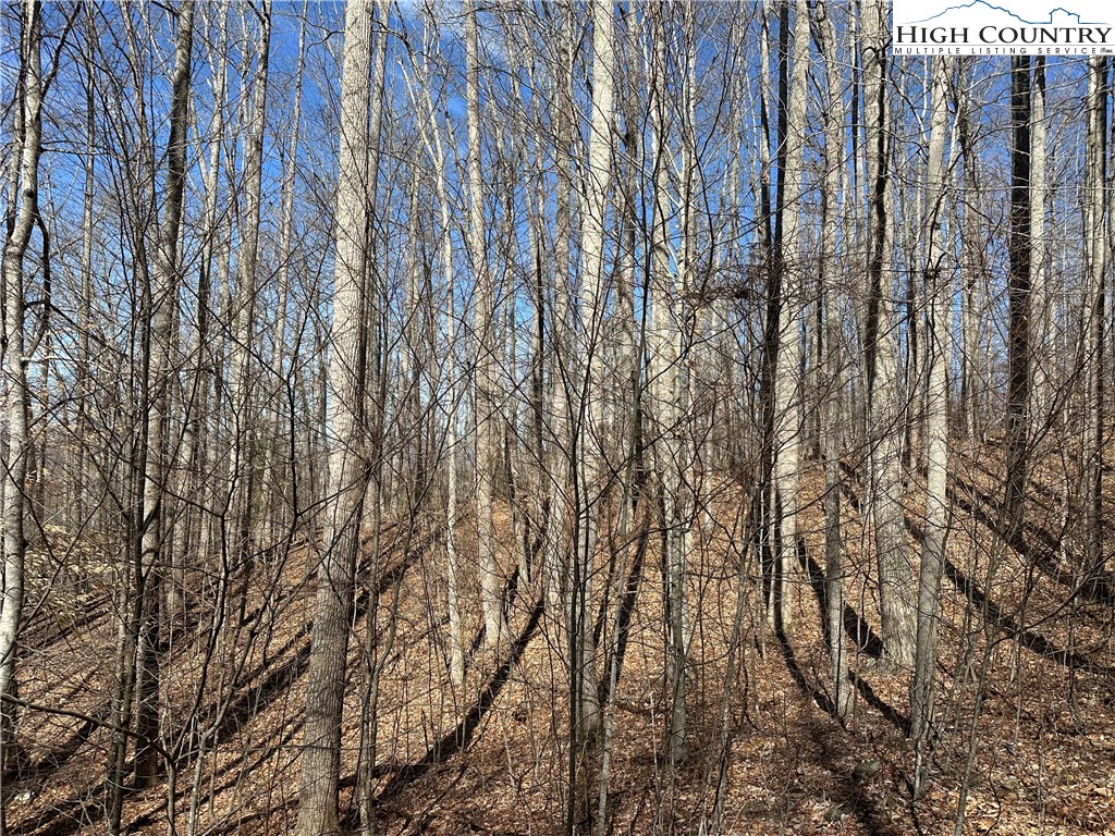 Woodland Ridge Lansing, NC 28643 - Photo 6 of 10